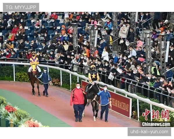 香港“全城垒球日”吸引超三千市民参与体验 香港“全城垒球日”吸引超三千市民参与体验